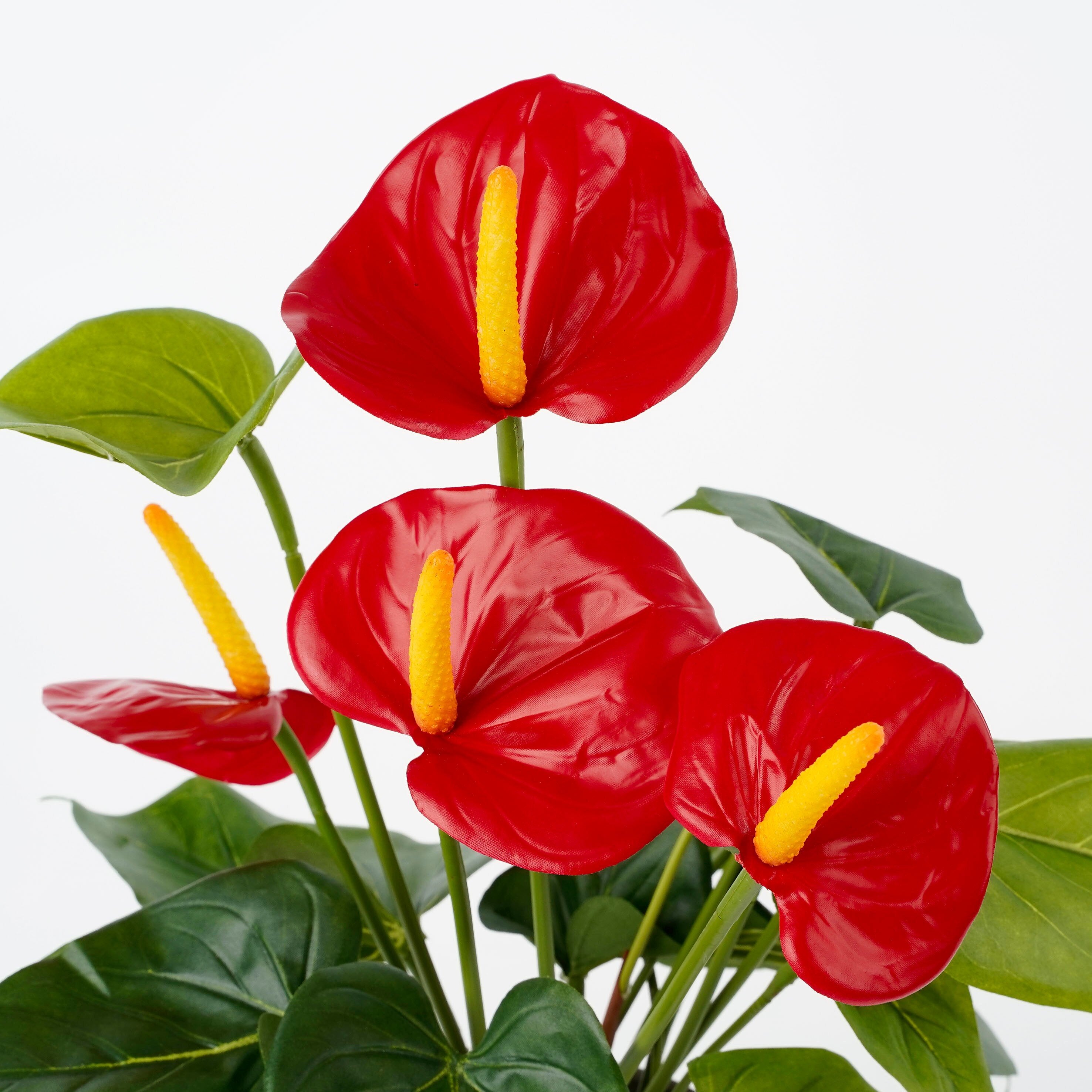 Mica Decorations Anthurium rood in pot Stan grijs d11,5cm - h40xd30cm