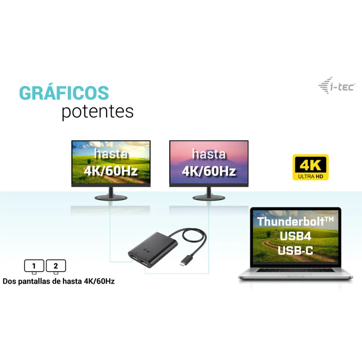 i-Tec C31DUAL4K60DP - Noir