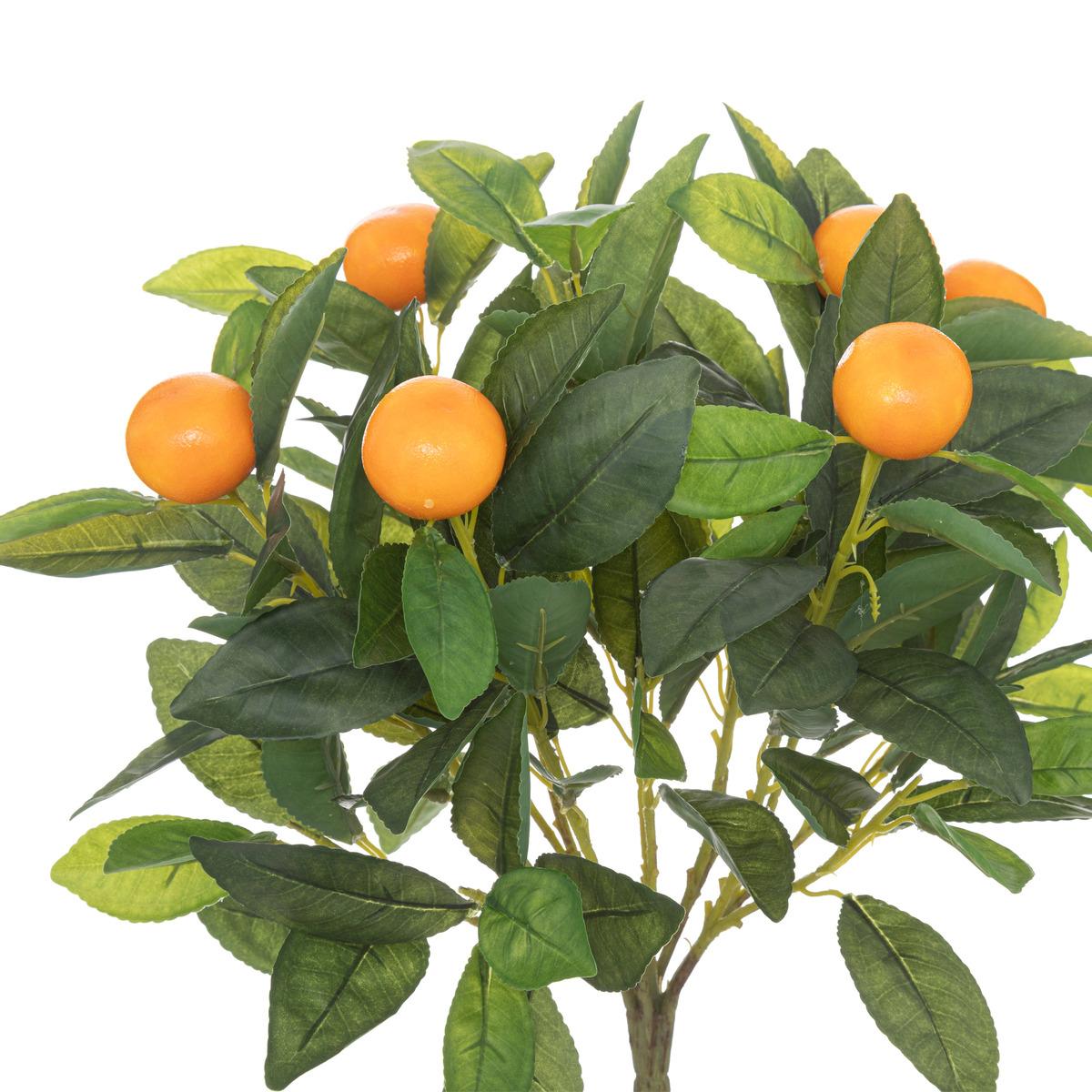 ORANGER EN POT NARANCS H.58CM