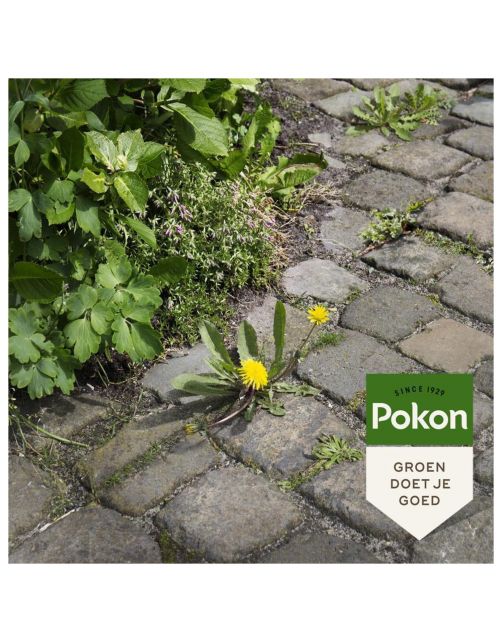 Pokon Tegen Onkruid Spray - Onkruidbestrijding