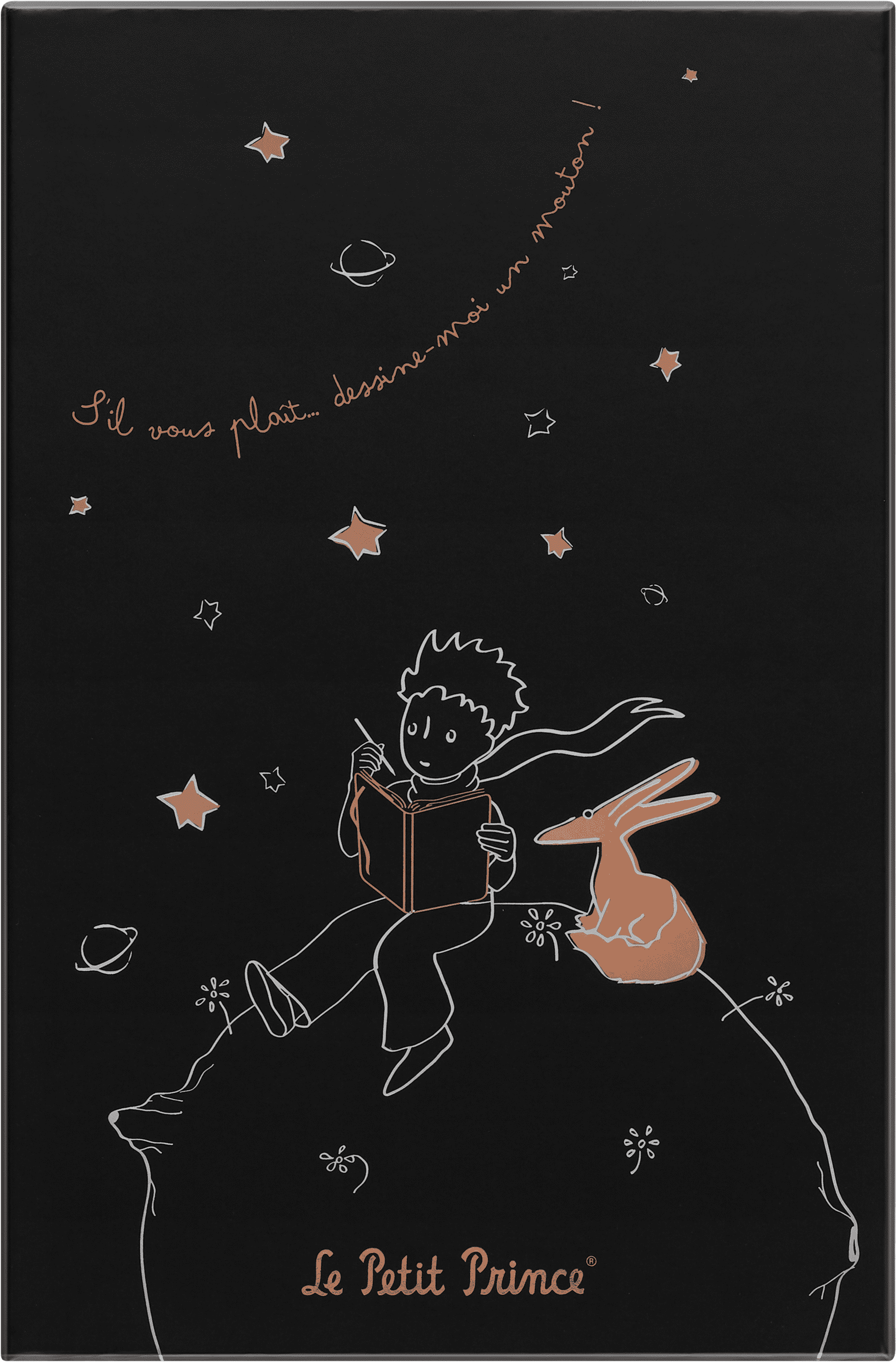 Le Petit Prince Limited Edition Notebook Large, Hard Cover, Ruled, with Gift Box