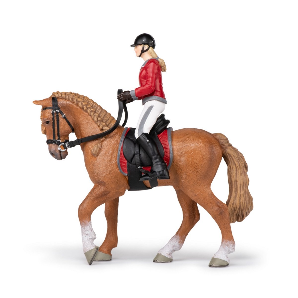 Cheval de promenade et sa cavalière