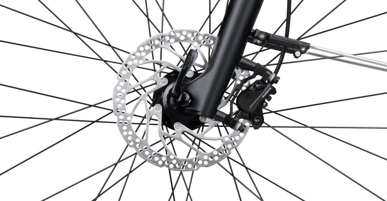 Radon Sunset 9.0 kaufen | Bike-Discount