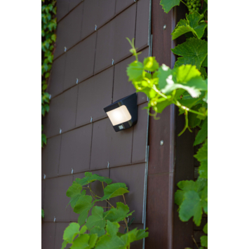Lutec solar buitenlamp Try met bewegingssensor