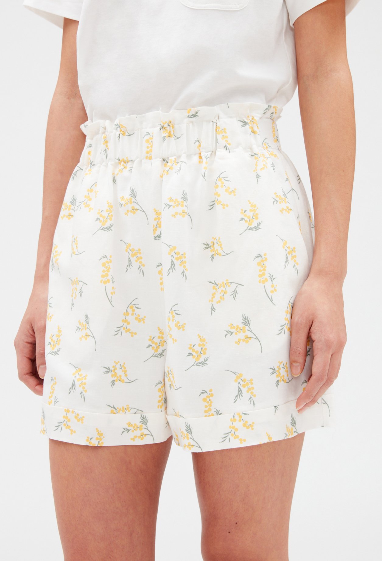 Short mimosa