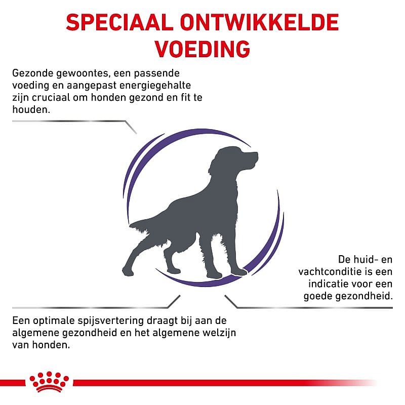 ROYAL CANIN® Medium Dog Adult 10-25 kg - Hondenvoer voor een glanzende vacht bij honden van middelgrote rassen vanaf 12 maanden