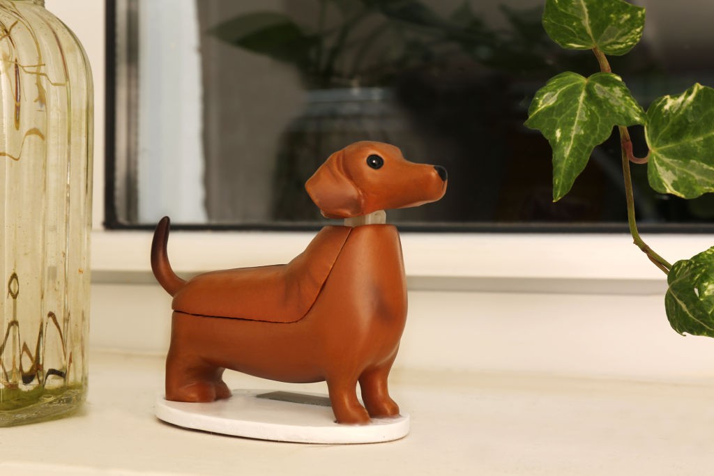 Solar Dachshund - Boudewijn (1612)