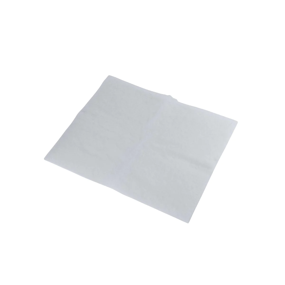 Filtre pour hotte polyester combiné charbon actif Fackelmann Accessoir