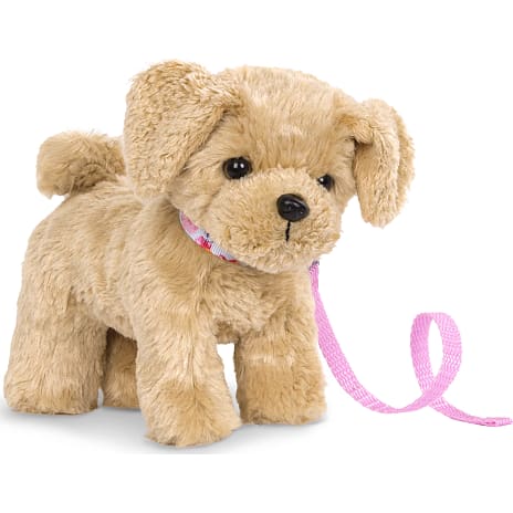 Our generation Goldendoodle hvalp