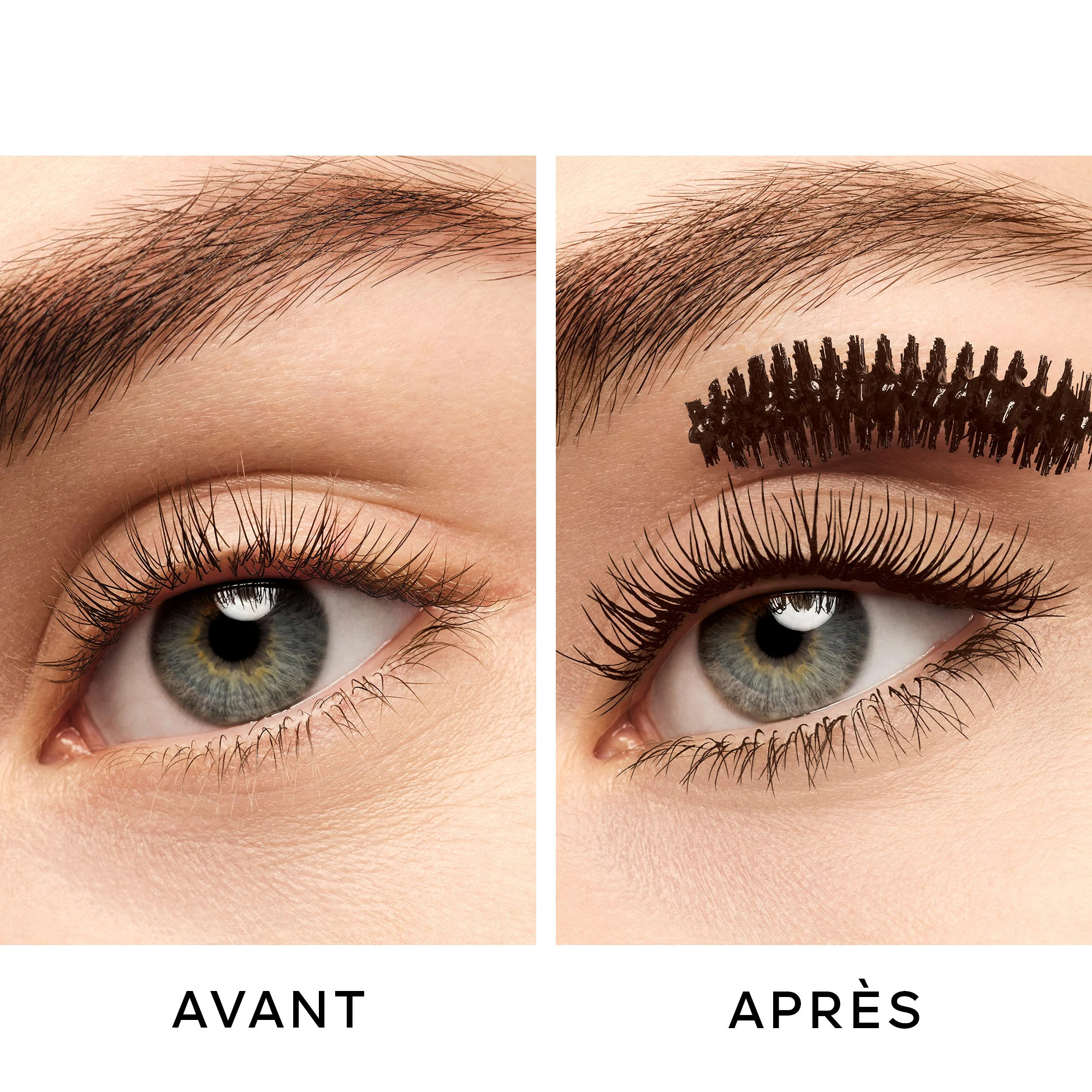 NOIR G Mascara courbe volume intense 24h |- Marron