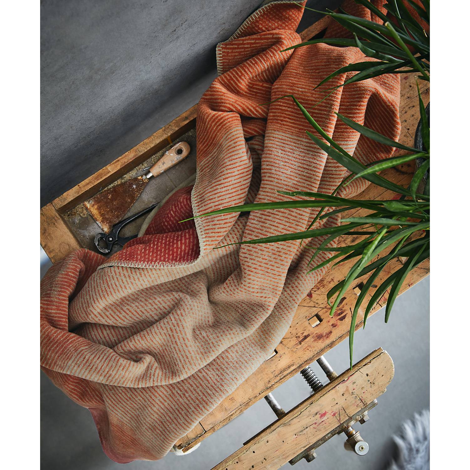 Ibena Jacquard Wohndecke 