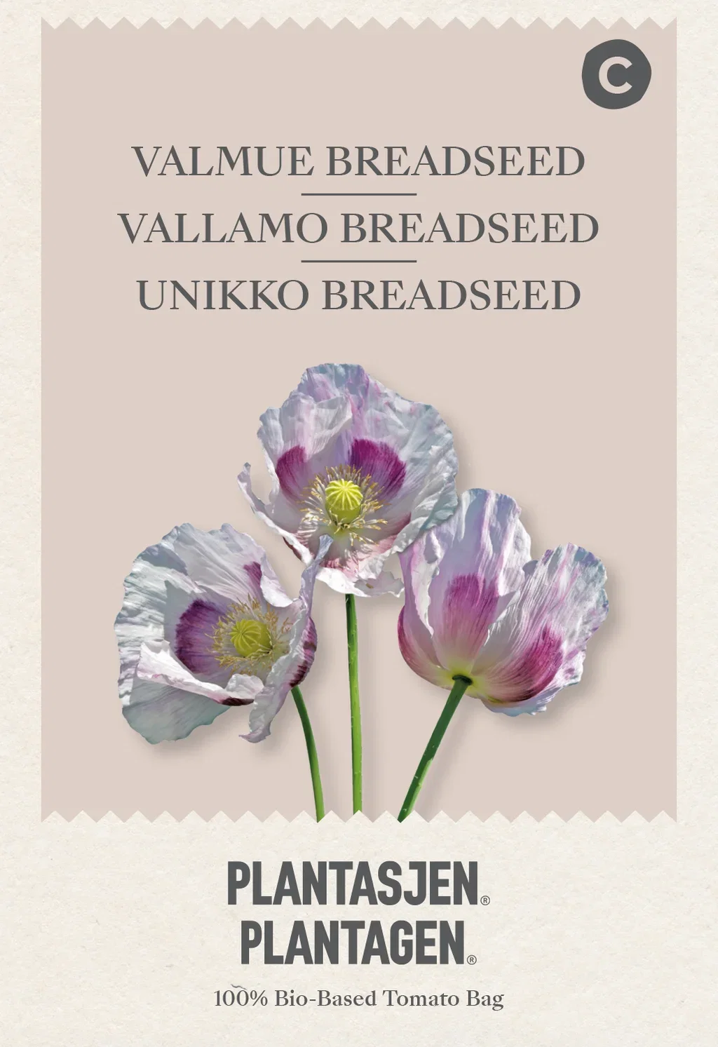 Papaver somniferum Valmue 'Bread Seed'