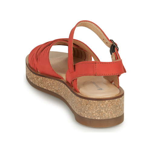 El Naturalista -  - Rouge