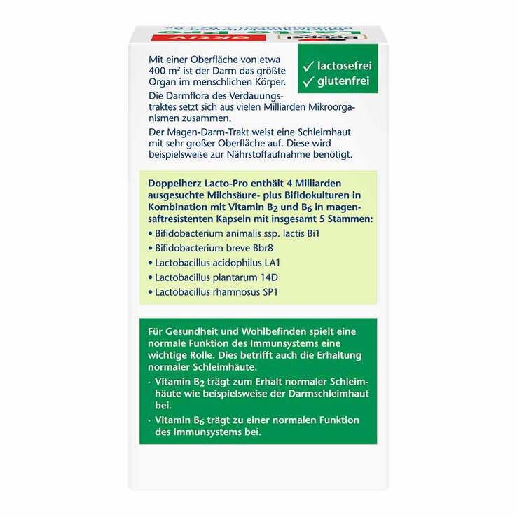 Doppelherz Lacto-Pro Kapseln, 60 St