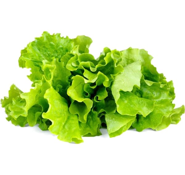 Click & Grow Smart Garden refill Salat 3stk