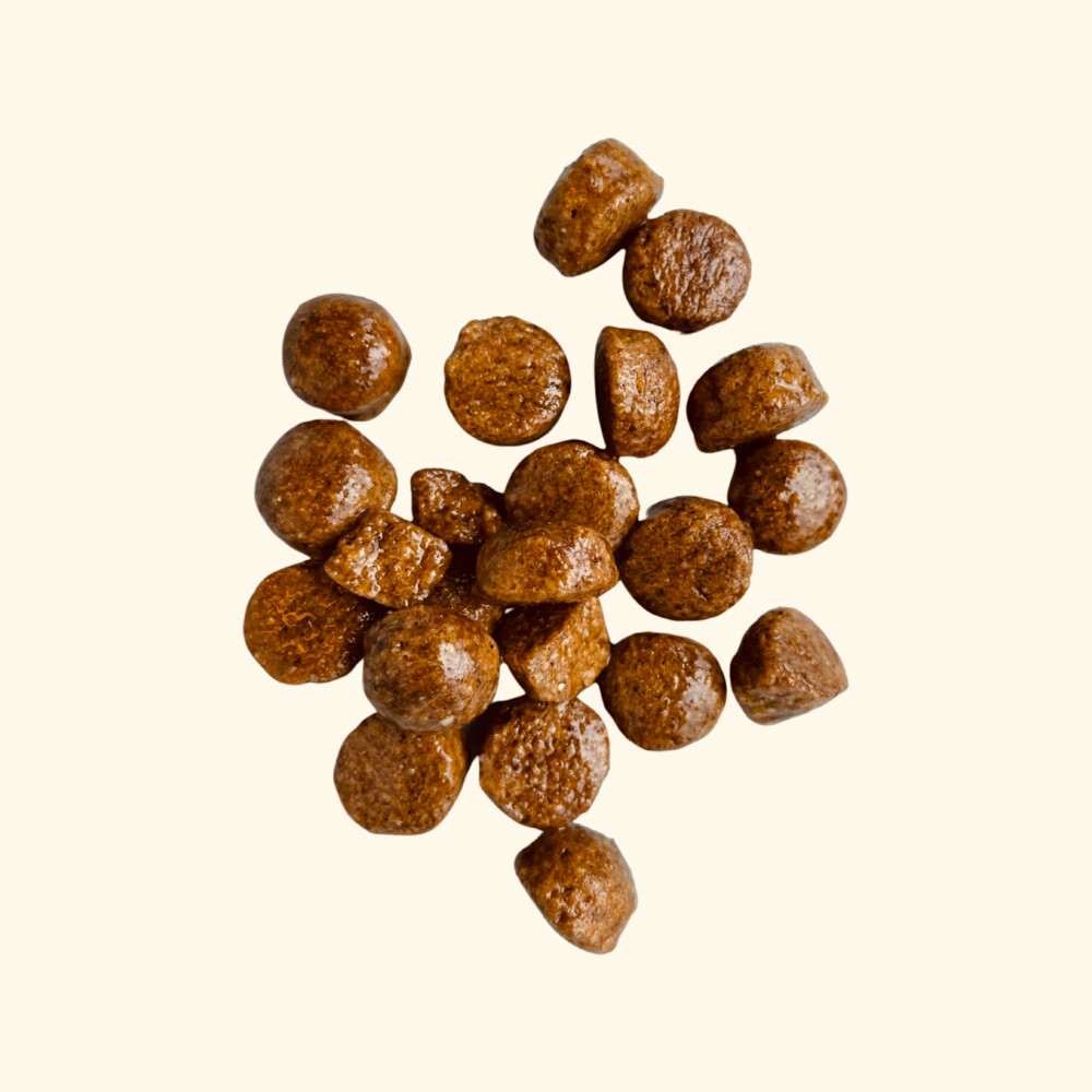 Teds Hondenvoer met Insecten Puppy 2,5 kg