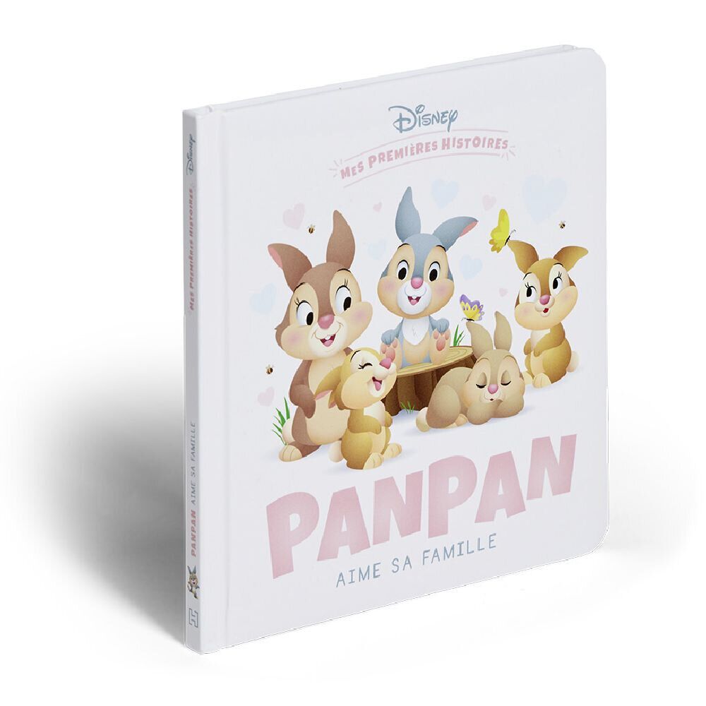 Livre histoire Disney Panpan Hachette Jeunesse - 2 modèles
