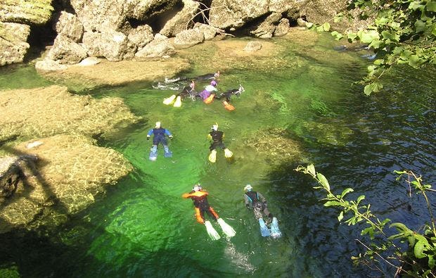 Schnorcheln und Scuben in Desselbrunn als Geschenk