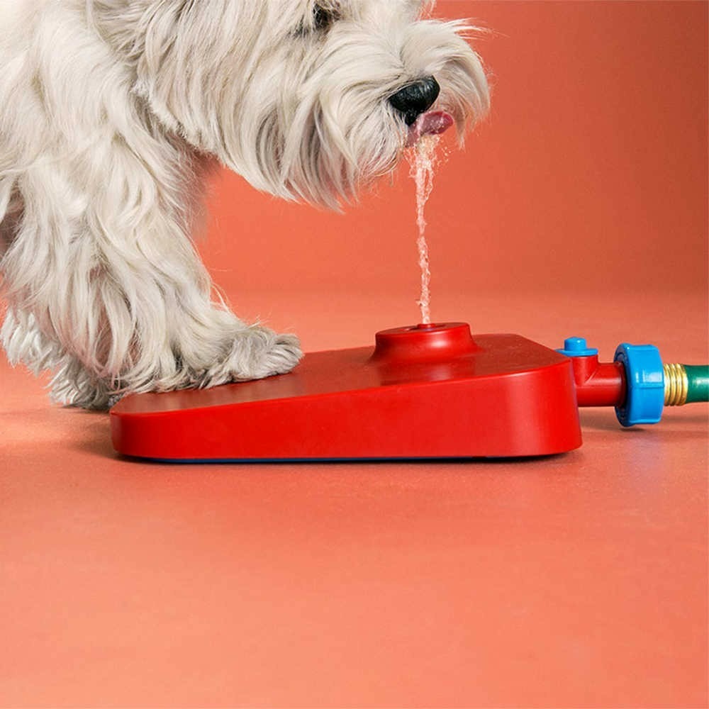 Fontaine à eau automatique pour chien eau my dog