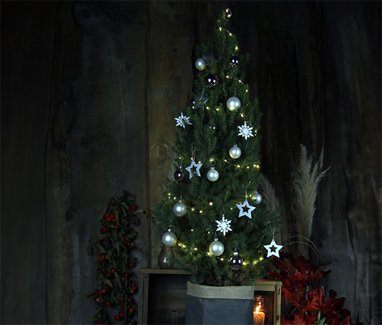 Echtes Weihnachtsbäumchen mit Dekoration, ca. 150 cm, silberfarben