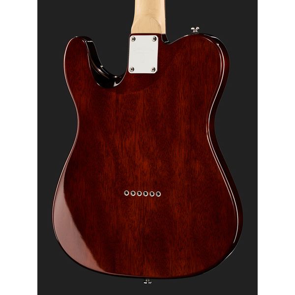 Larry Carlton T3 TS