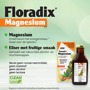 Salus Floradix Magnesium 250ML