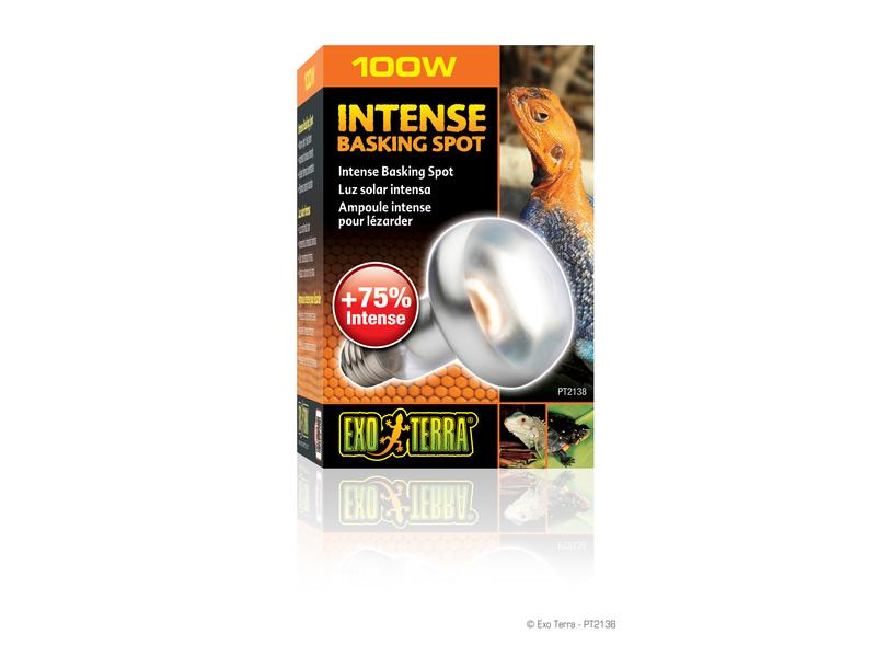 Exo Terra Terrarienlampe Intense Basking Spot E27, R25/100W Wärmespotlampe