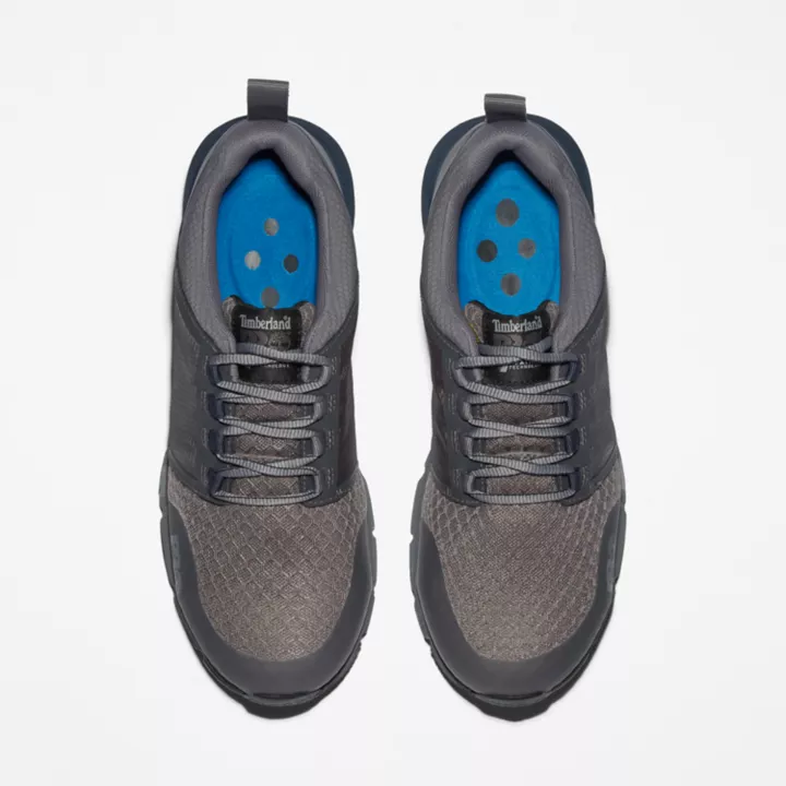 Chaussure de travail à embout en alliage Radius pour homme en gris et bleu