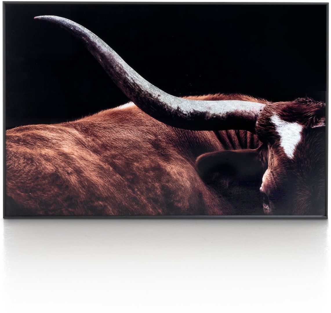 COCO maison   Rodeo Schilderij