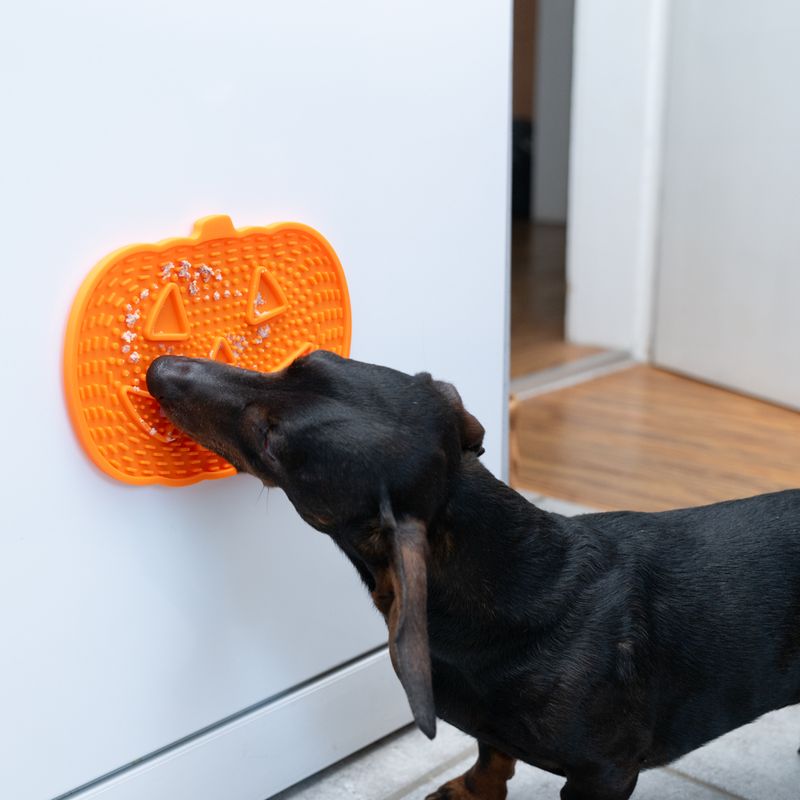 Tapis à lécher TIAKI Citrouille pour chien et chat