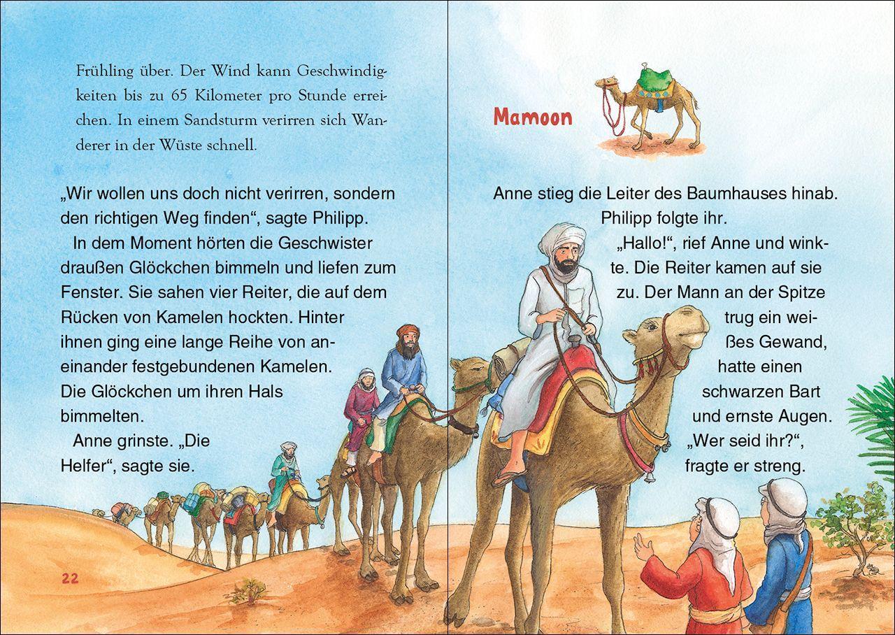 Der verborgene Wüstenschatz / Das magische Baumhaus junior Bd.31