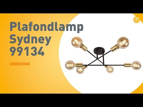 Industriële plafondlamp zwart met goud 6-lichts - Sydney