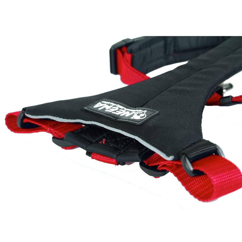Harnais NEEWA Running Harness