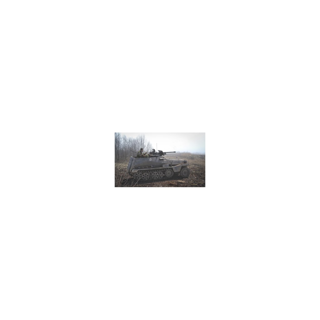 SdKfz 250/251 Expansion Set - SdKfz 250/11 & 251/7