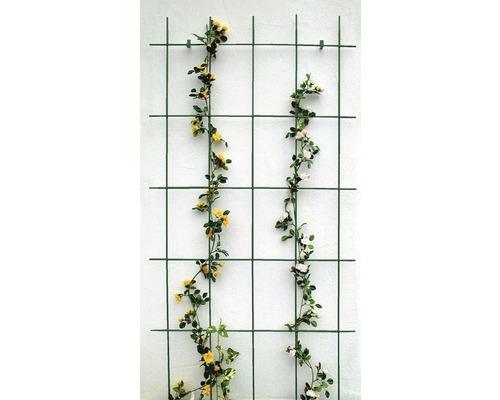 Decoratief trellis, 5-strut, Lafiora staal, 75x150 cm, groen, inclusief bevestigingsmateriaal