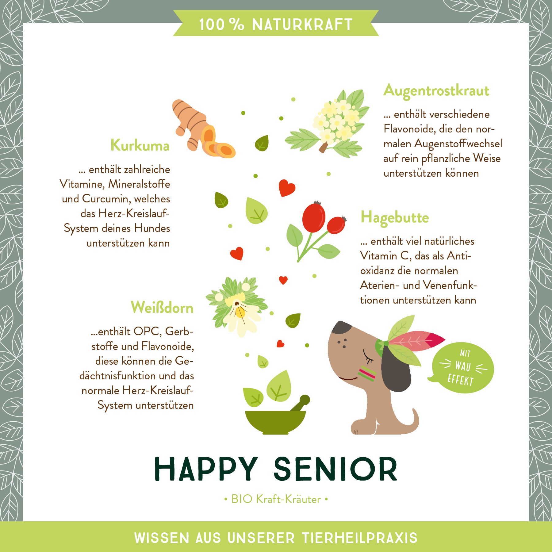 AniCanis Bio Kräutermix Happy Senior für alte Hunde