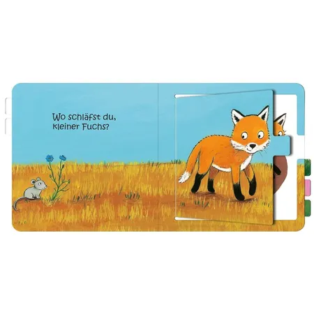 ars Edition Wo schläfst du, kleine Eule?