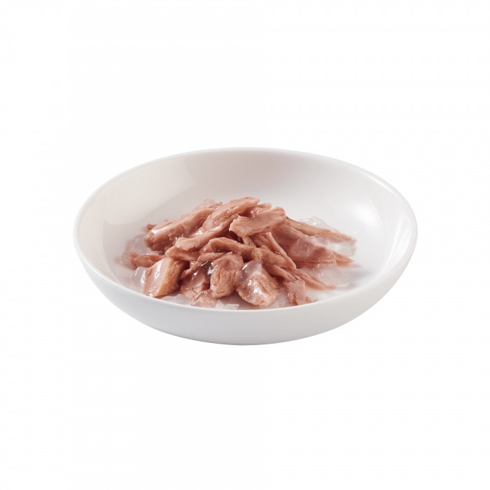 Schesir Sachets Pâtées en gelée Adult - 6 x 85 g