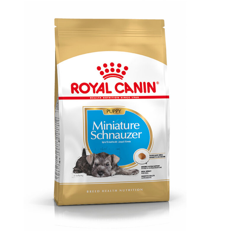 Ração Royal Canin para filhotes de Schnauzer Miniatura