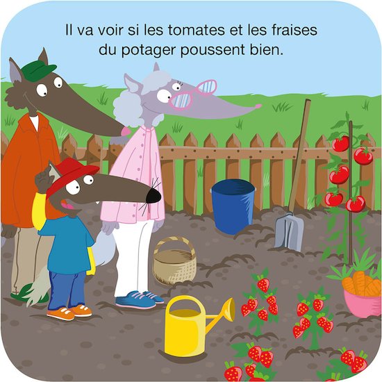 P'tit Loup à la ferme   Multicolore        de               AUZOU
