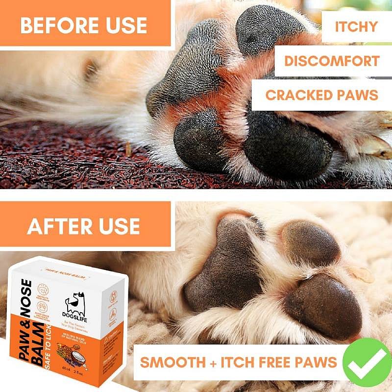 DogsLife Paw & Nose Balm Hond 60 ml | 12991
