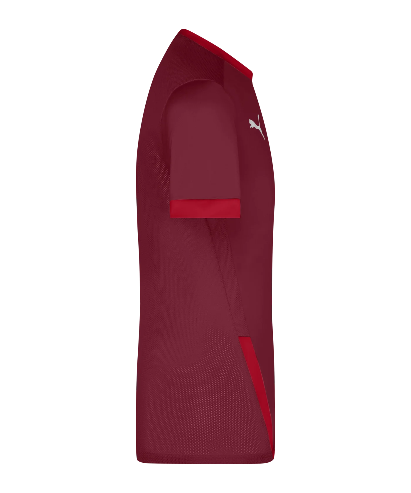 PUMA teamGOAL 23 Trikot kurzarm Rot F09