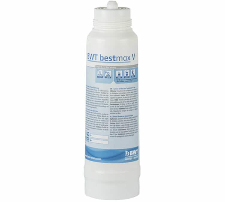 Cartouche filtrante Bestmax V BWT Water+More