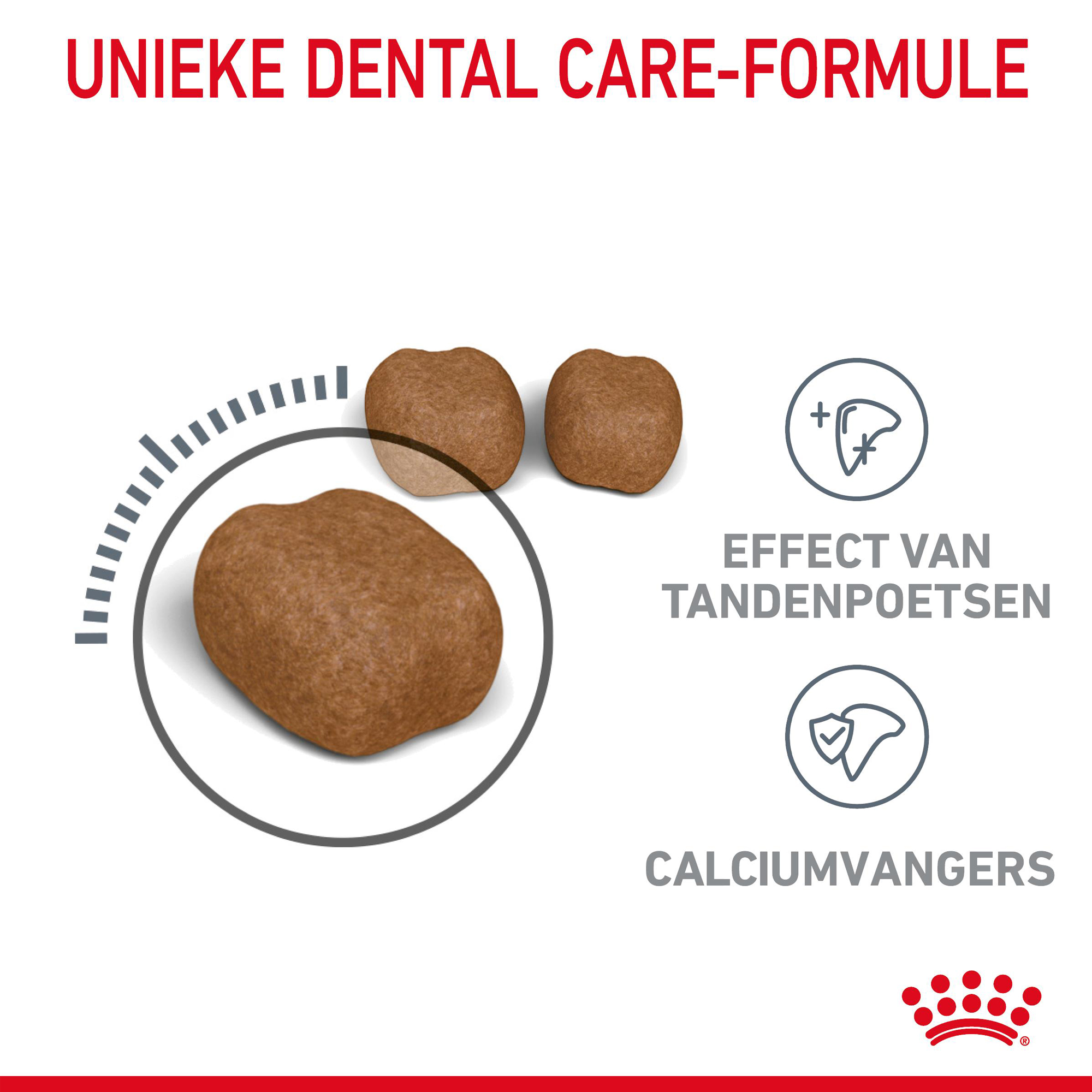 Royal Canin Dental Care - Kattenvoer