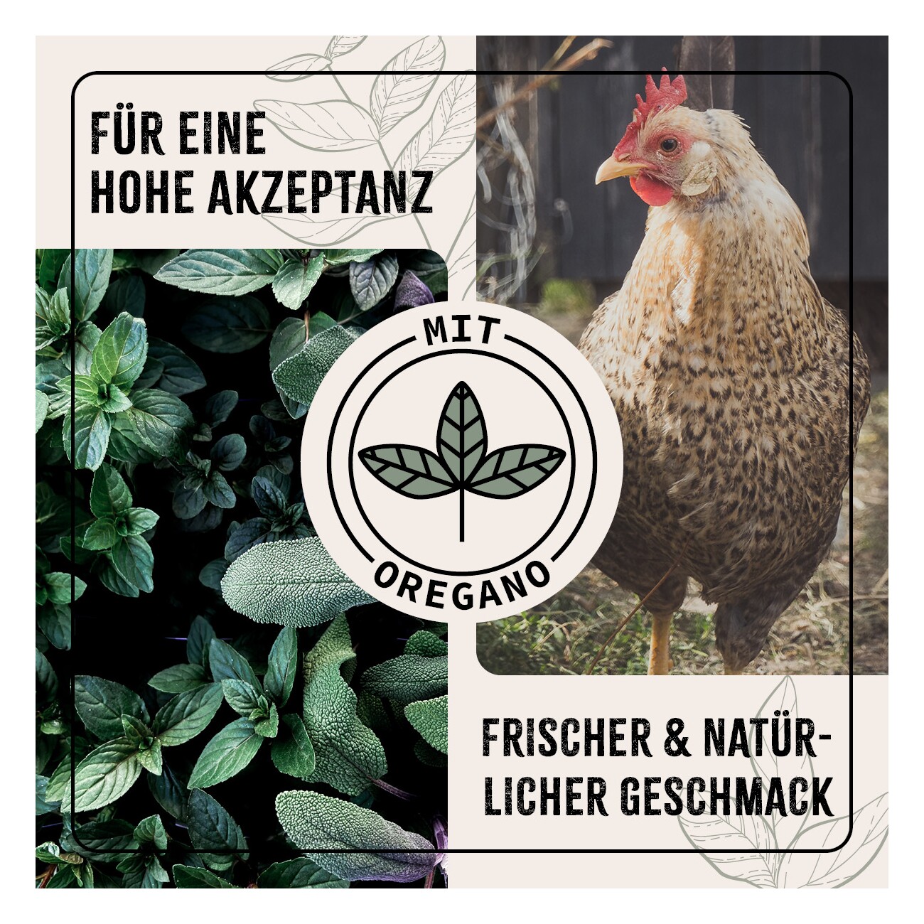 AniForte FarmLife Hühner Futter Mix mit Oregano 10 kg