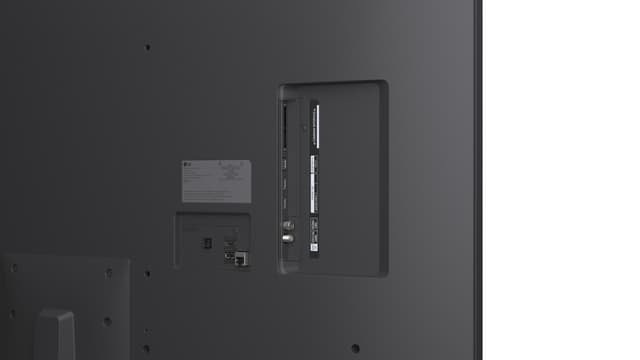 LG 55