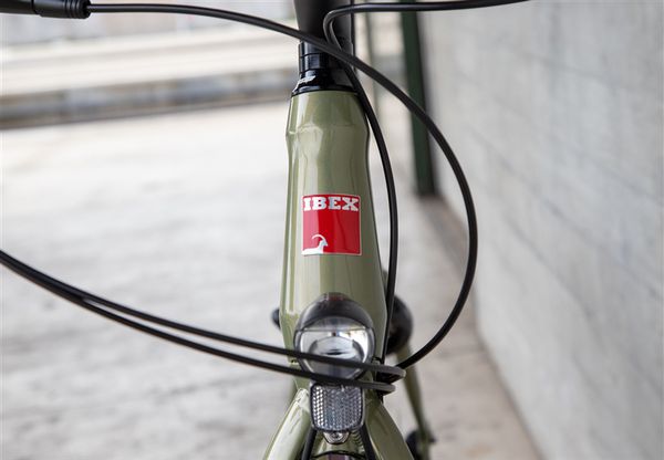 DAILY QUEST Pinion City- und Alltagsvelo  grün  48 CM