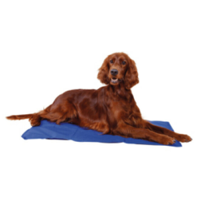Matelas rafraîchissant bleu Trixie pour chien