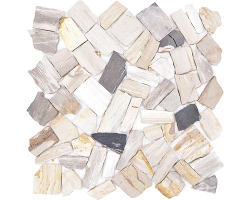 Natuursteen mozaïek gebroken/Ciot mix hout steen fossiel