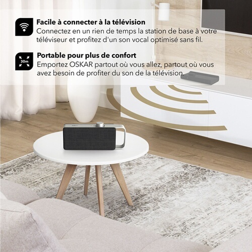 Ampli Home Cinéma Faller OSKAR GRIS